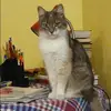 Отзыв от Лидия Большакова